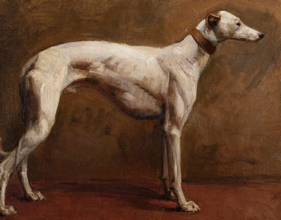 1880 Painting of a greyhound