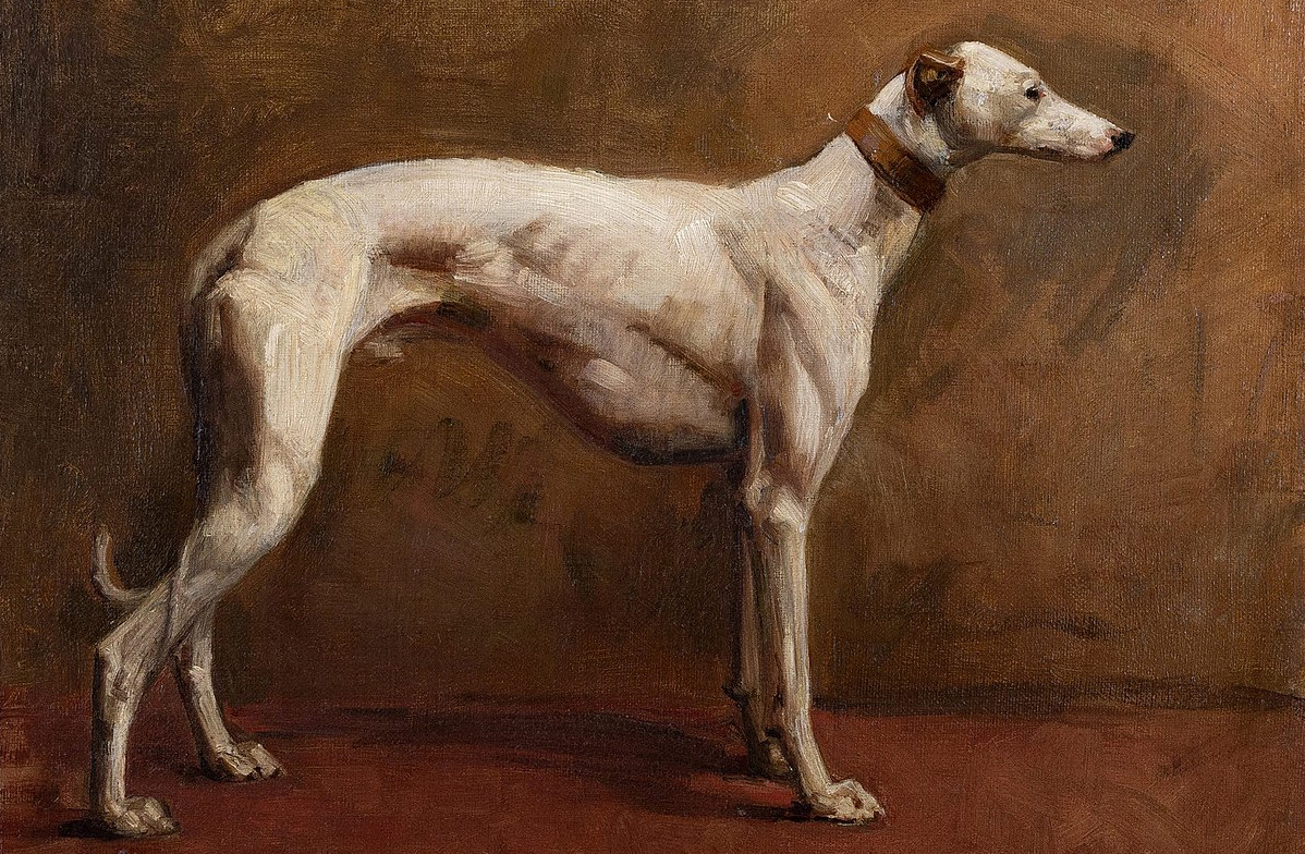 1880 Painting of a greyhound