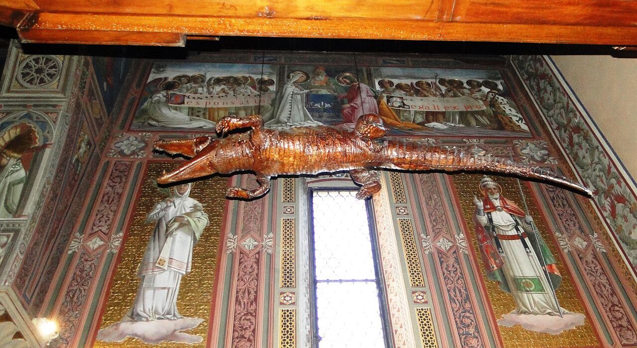 Image of a Taxidermy Cathedral Crocodile