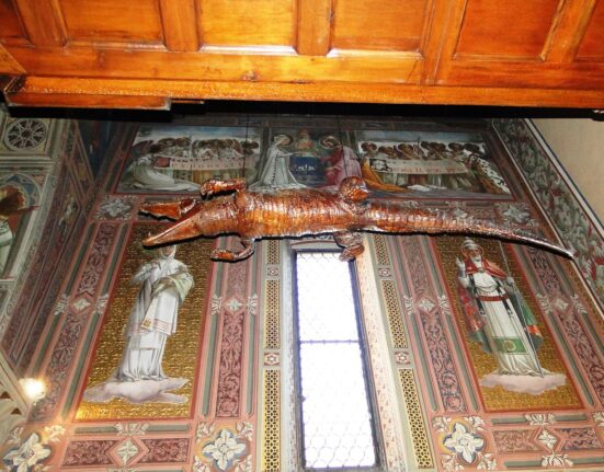 Image of a Taxidermy Cathedral Crocodile